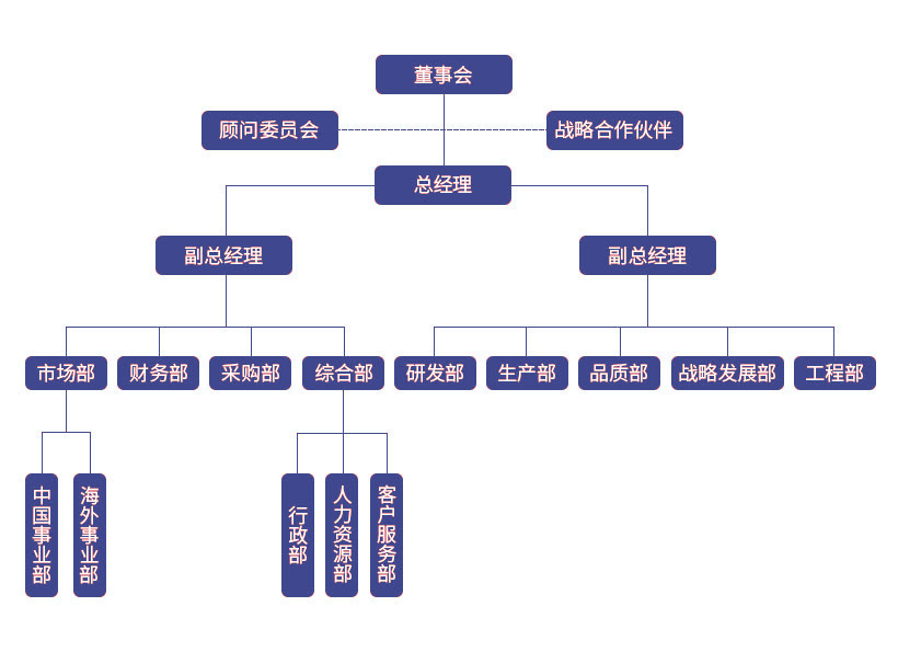 公司结构图